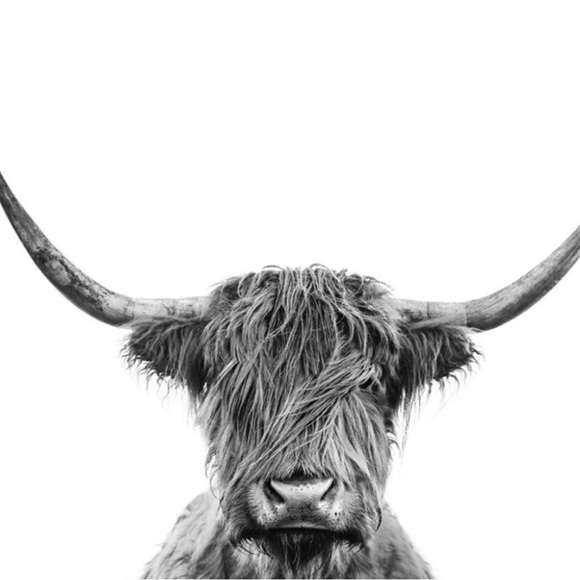 Other - Highland Cow Art Print 8.5”x11” - Black and White